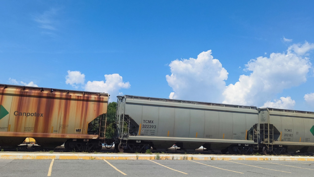 TCMX 322393